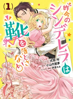 Sakkon no Cinderella wa Kutsu wo Otosanai. 